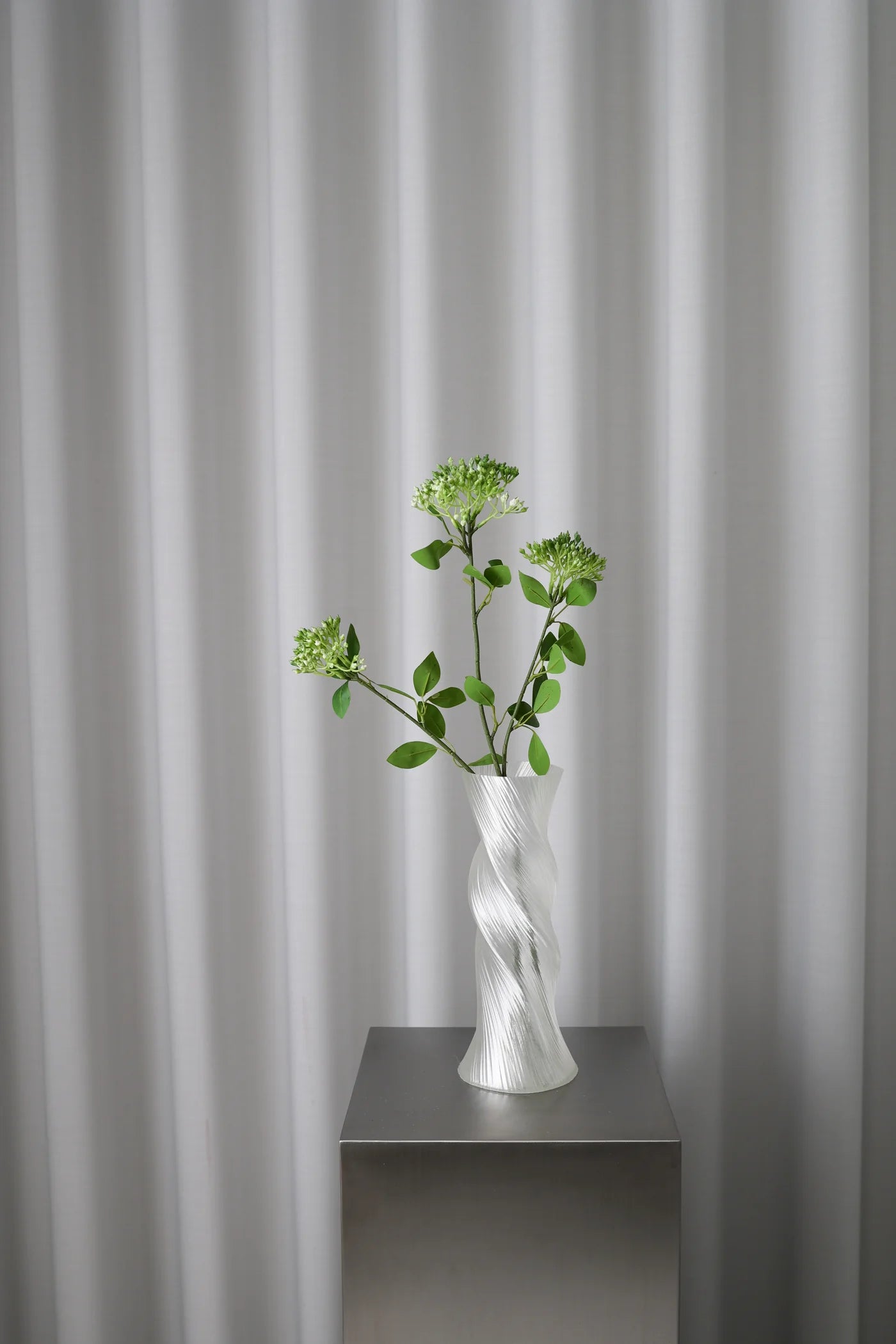 PHOTINIA GREEN