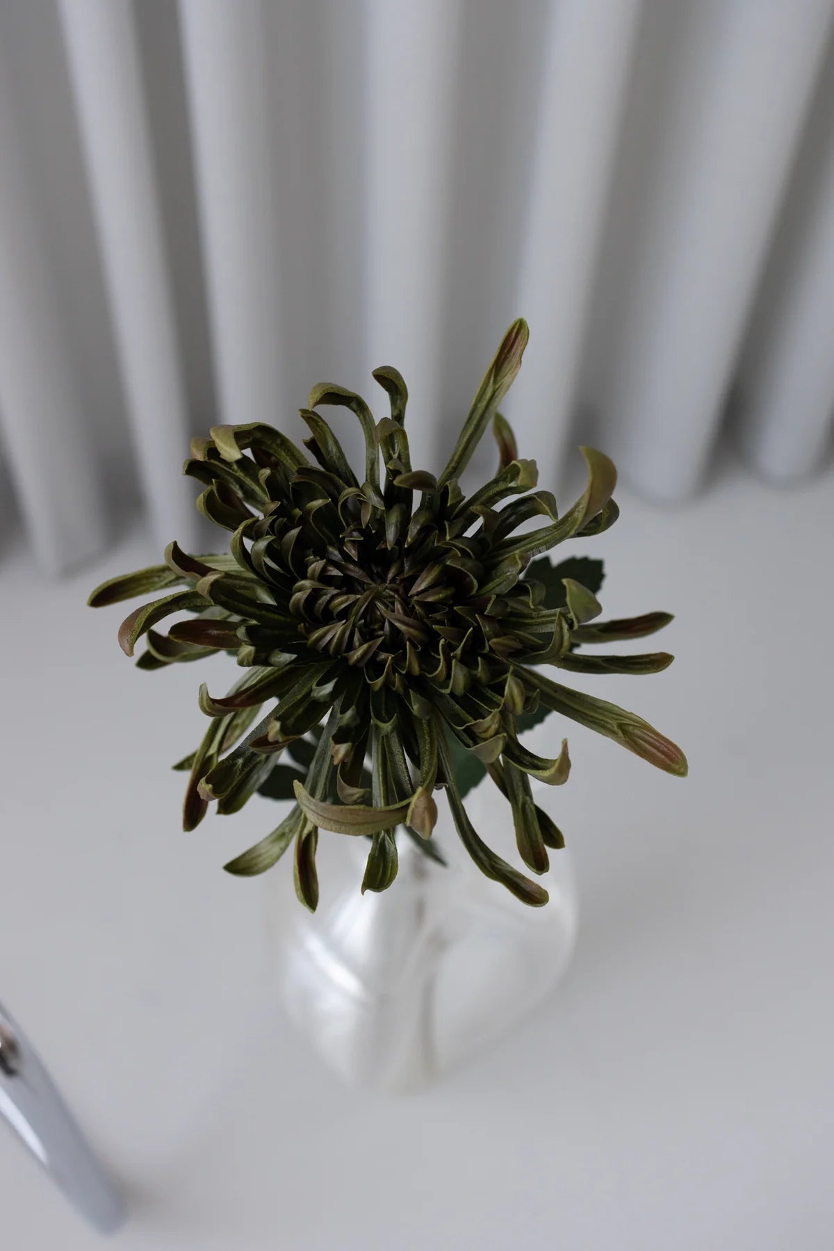 Chrysanthemum Green