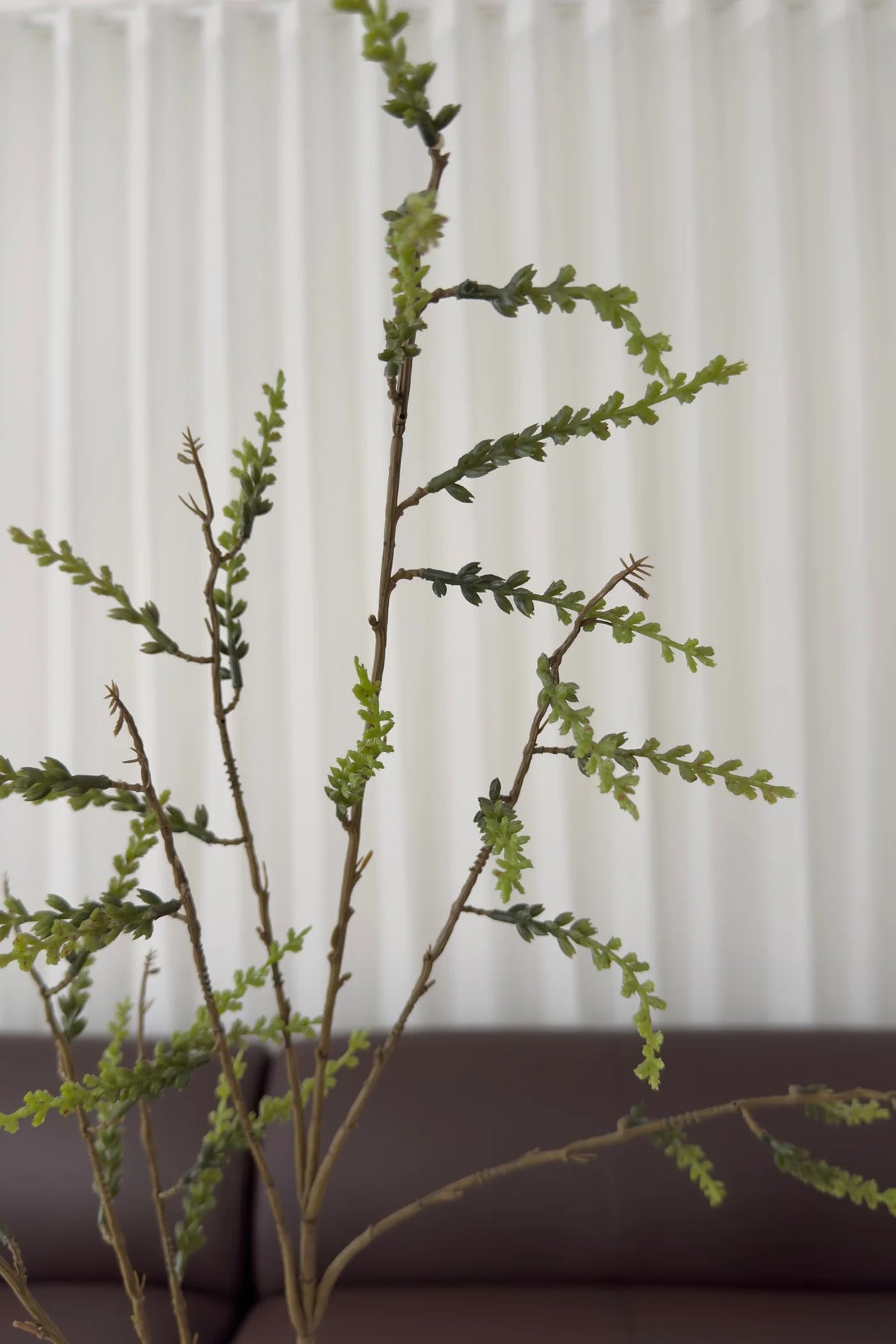 Giller branch-green