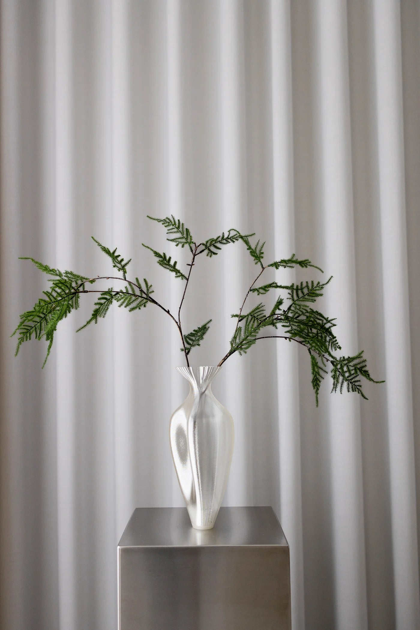 ASPARAGUS DARK GREEN