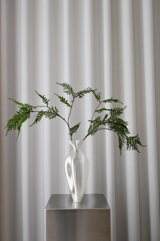 ASPARAGUS DARK GREEN