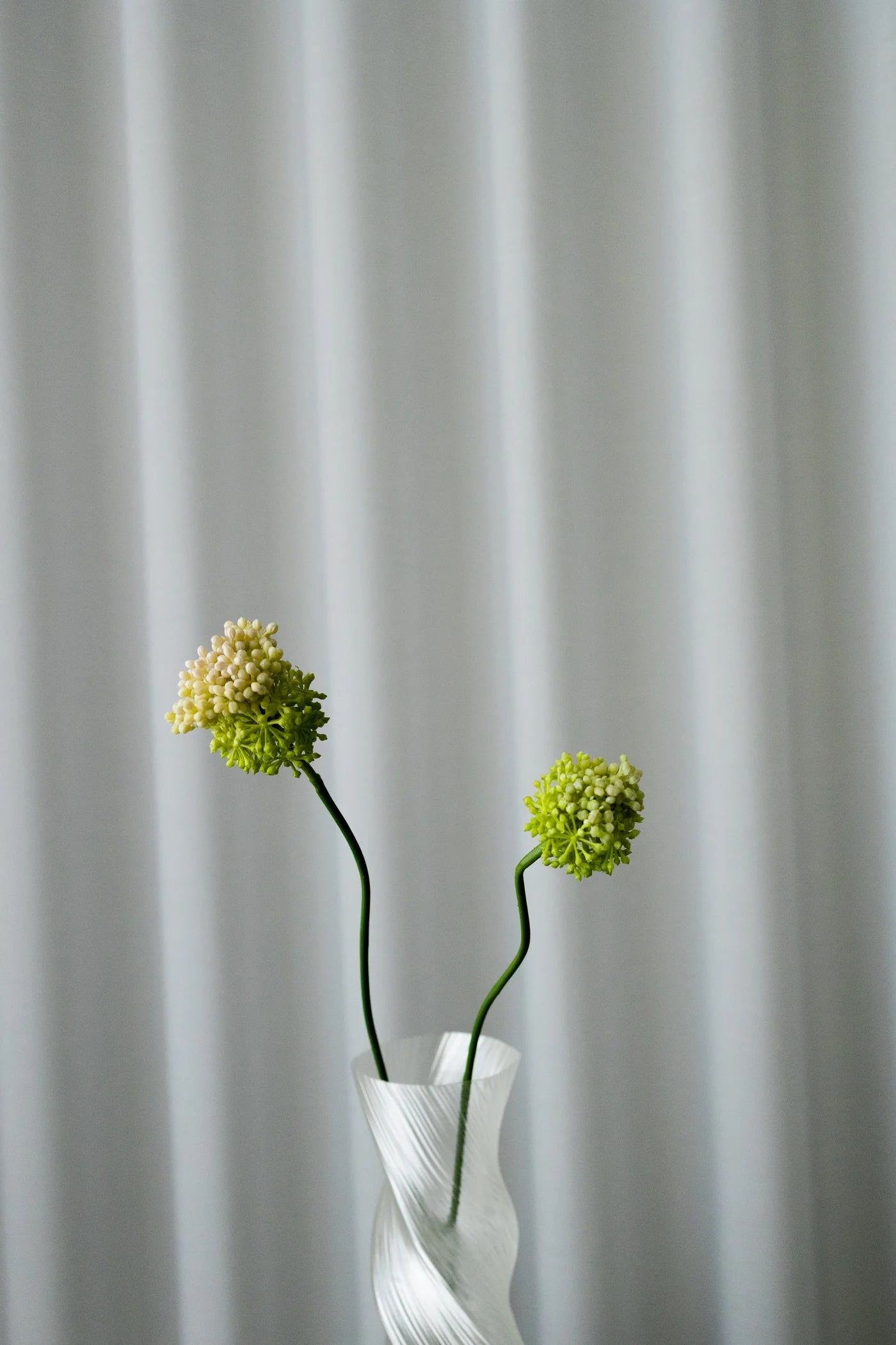 DANDELION GREEN