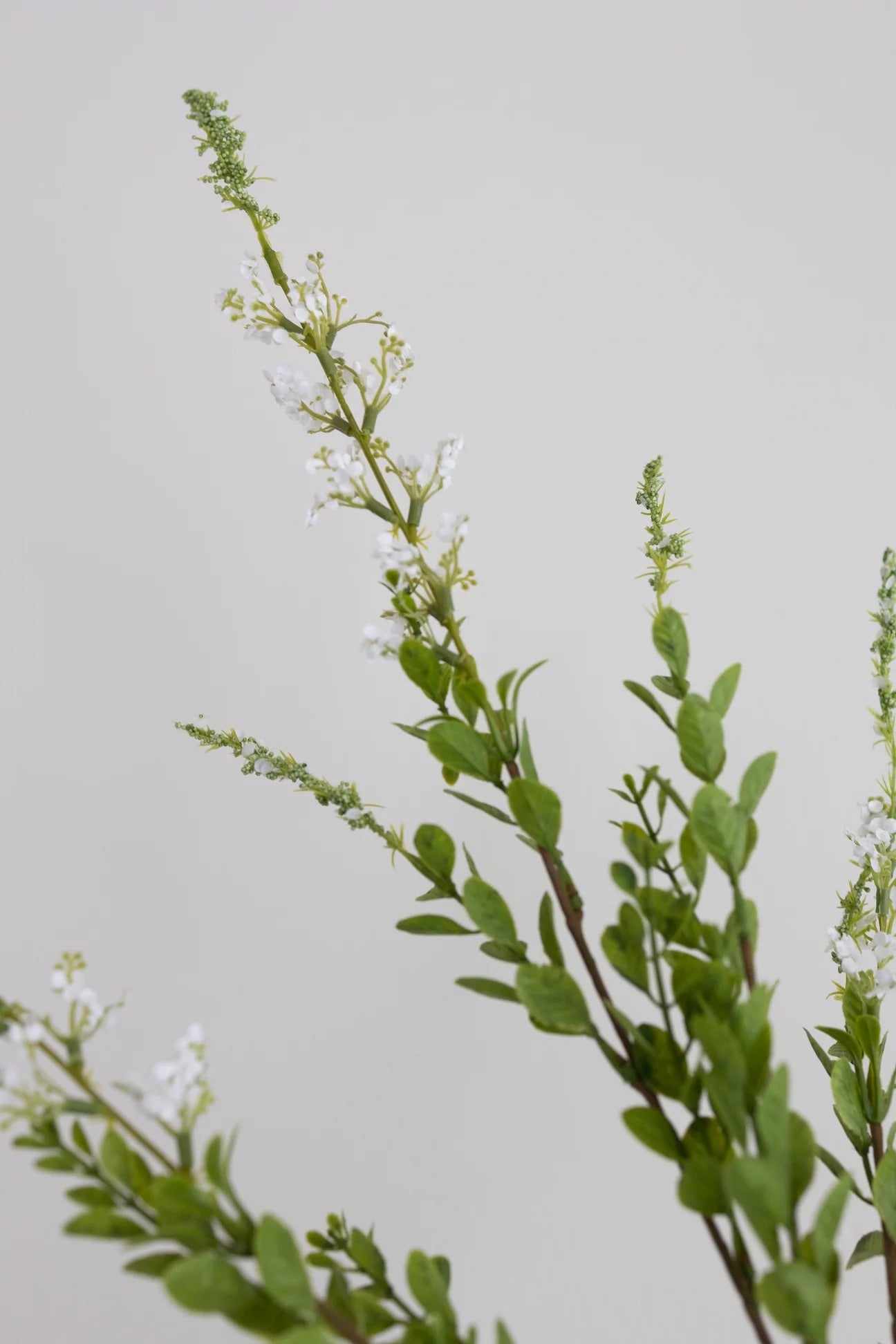 Artificial Plant White
