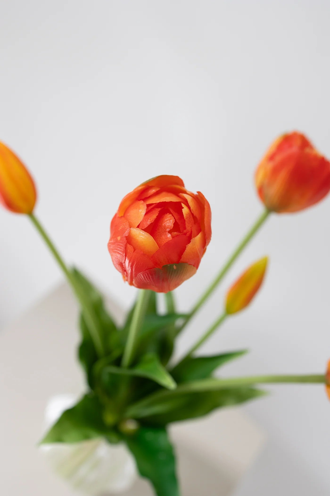 Layered Tulips ORANGE