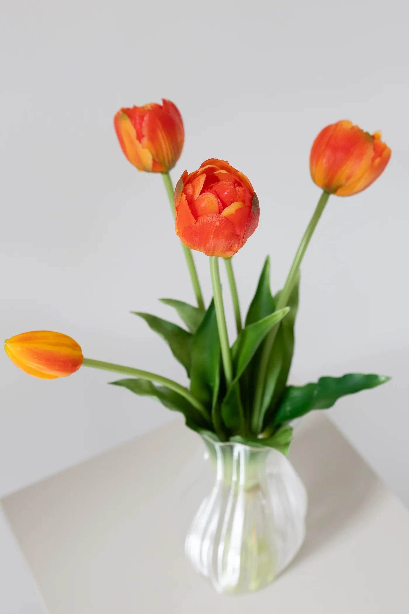 Layered Tulips ORANGE