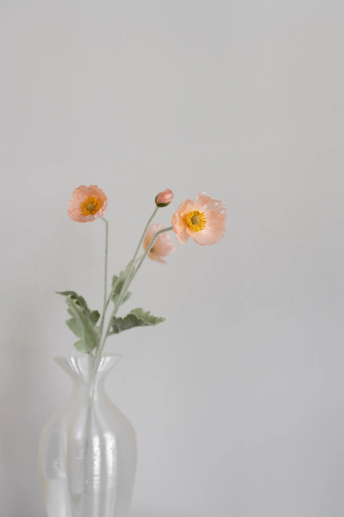 PEACH POPPY
