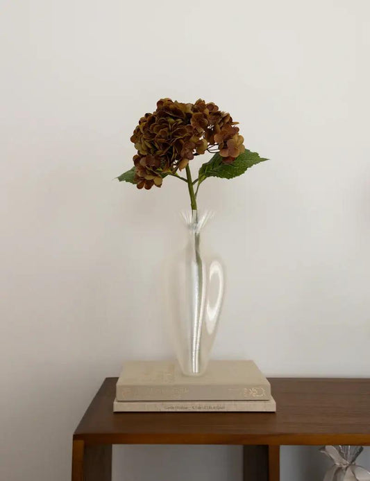 Hydrangea  BROWN