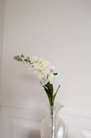 Artificial Hyacinth