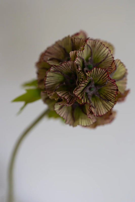 Artificial Scabiosa Flower Dusty