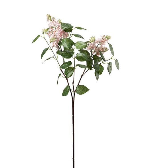 SYREN H100cm