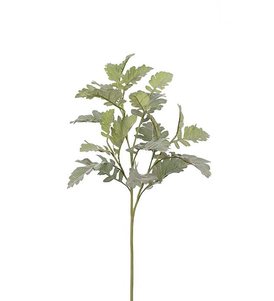 Silverek