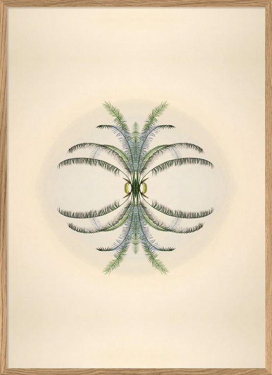 BOTANICAL REFLECTION 50X70