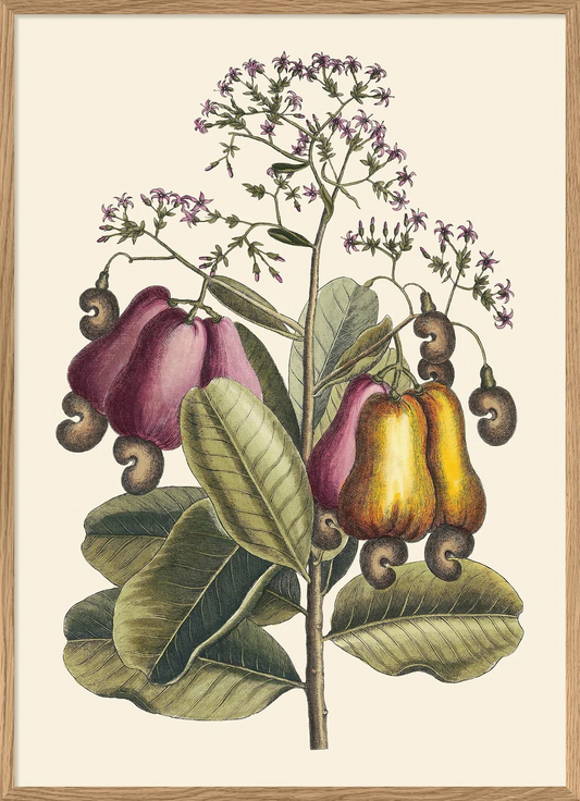 Cashew Tree 50x70